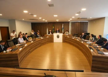 Paraná: Governo debate orçamento de 2025 em audiência pública na Assembleia Legislativa