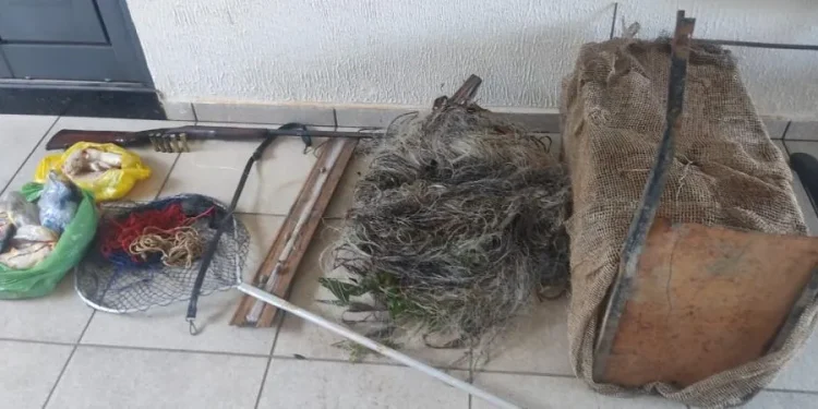 Foto: Polícia Ambiental