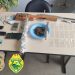 Homem é preso em Siqueira Campos com sete plantas de maconha, uma espingarda adaptada e dois simulacros de arma de fogo