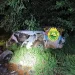 Grave acidente na PR-092 em Andirá deixa um morto e um ferido