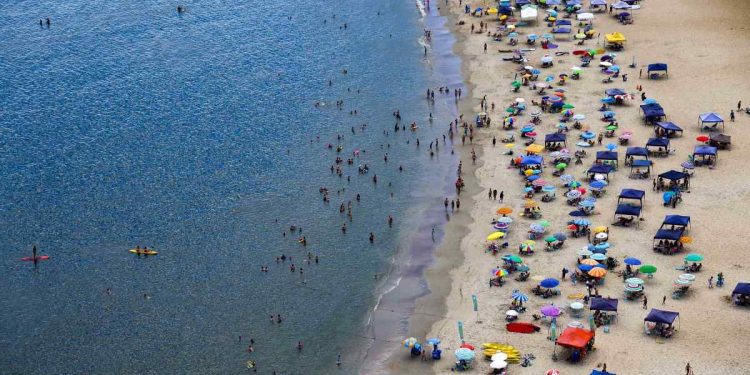 Incidentes com águas-vivas ultrapassa 2 mil no Paraná em apenas um final de semana (Foto: Jhonatan Campos/ AEN)