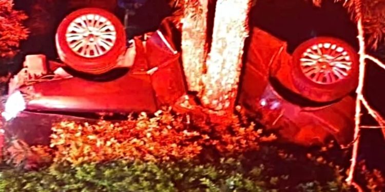 Carro saiu da pista e atingiu uma árvore (Foto: Reprodução/BPRv)