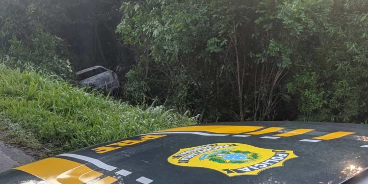 O motorista não resistiu aos ferimentos e morreu no local (Foto: divulgação / PRF)
