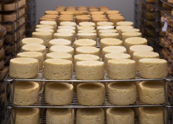 Produtora rural viaja cinco países para trazer ao Paraná a expertise na produção de queijos