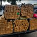Polícia Militar apreende 200 quilos de maconha em rodovia no Paraná