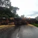 Paraná: Motorista bloqueia BR-376 ao tombar caminhão com soja e acaba preso em flagrante por estar embriagado