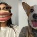 Fim dos filtros do Instagram? Entenda se eles acabaram ou não