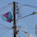 Ocorrências com pipas causam 69 interrupções no sistema elétrico da região de Ourinhos em 2024