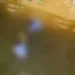 Menina de 2 anos fica presa em cadeirinha e morre após carro cair em rio “Assista o vídeo”