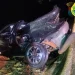 Norte Pioneiro: Colisão contra árvore em Japira deixa motorista ferido
