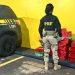 PRF intercepta veículo roubado e apreende quase 170 Kg de maconha em Ourinhos/SP