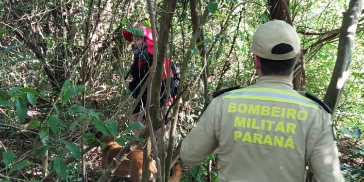 Foto: Corpo de Bombeiros