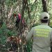 Paraná: Idosa desaparecida com Alzheimer é encontrada em Cambará “Assista o vídeo”
