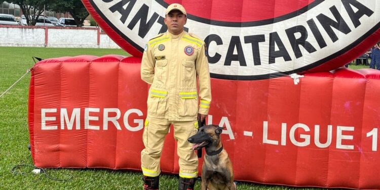 Foto: Corpo de Bombeiros