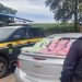 Paraná: PRF apreende 90 mil comprimidos de ecstasy e faz 2ª maior apreensão da história do órgão