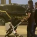 Bebê de 1 ano vítima de tráfico internacional de pessoas retorna ao Brasil