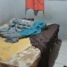 Nucria vai ouvir os oito irmãos abandonados sem comida no Paraná