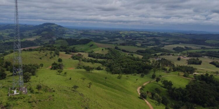Paraná é o estado que mais avançou em conectividade rural no último ano, segundo Anatel
Foto: Ari Dias/AEN