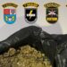 Polícia Militar apreende drogas e veículos irregulares em Jacarezinho