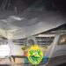 Norte Pioneiro: Pedestre morre atropelado na PR-218 em Carlópolis