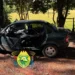 Norte Pioneiro: Colisão frontal com árvore na PR-272 fere condutora de Japira