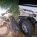 Idoso morre após ser atingido por caminhonete em rodovia no PR