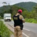 Feriadão no Paraná: Quase 6 mil infrações, 6 mortes e 2,7 toneladas de drogas apreendidas