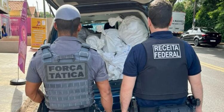Foto: Assessoria PMSP