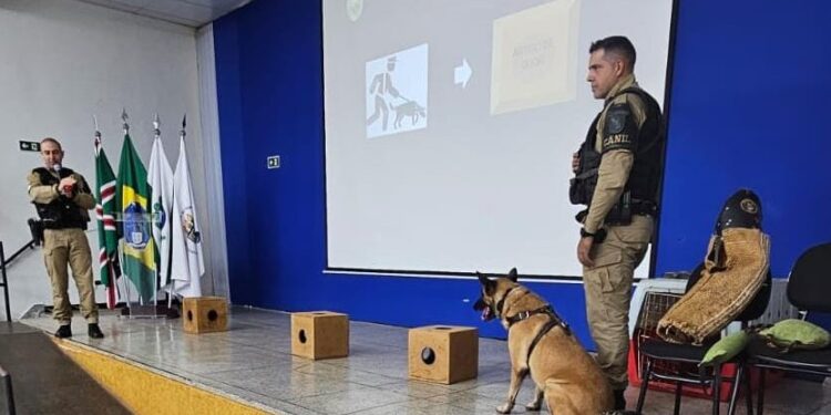 Foto: Assessoria PM