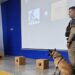 Norte Pioneiro: Polícia Militar Realiza Demonstração das Operações com Cães em Evento para Idosos “Confira as fotos”