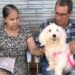 CastraPet Paraná fecha o 4º ciclo com atendimento a 31.448 cães e gatos