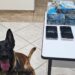 Polícia Militar apreende mais de 5 kg de cocaína durante operação em Ibaiti/PR