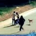 Homem é esfaqueado no meio da rua no PR e mulher e adolescente são presos