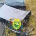 Norte Pioneiro: Colisão lateral entre carro e caminhão deixa um ferido na PR-272