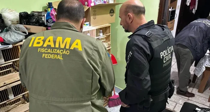 Foto: Reprodução/Secom Paraná