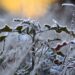 Frente fria deve trazer neve para o Sul do Brasil; veja locais