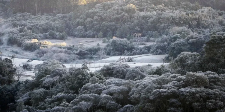 Geada branca é prevista para várias regiões do Paraná, incluindo de forma moderada a forte (Foto: Orlando Kissner/ANPr)
