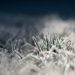 Onda de frio intenso alcança o Paraná com temperaturas negativas e rajadas de vento no Norte Pioneiro