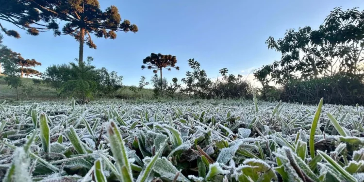Previsão é de fortes geadas nas cidades mais frias (Foto: Ana Tigrinho/AEN)