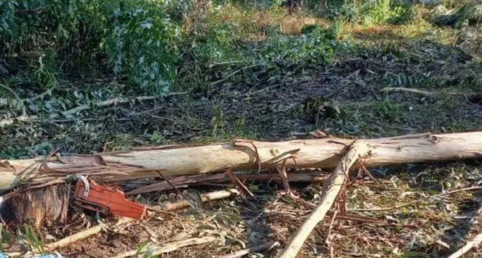 Foto: Imagem Ilustrativa