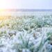 Com temperaturas negativas, Paraná registra amanhecer mais gelado de julho