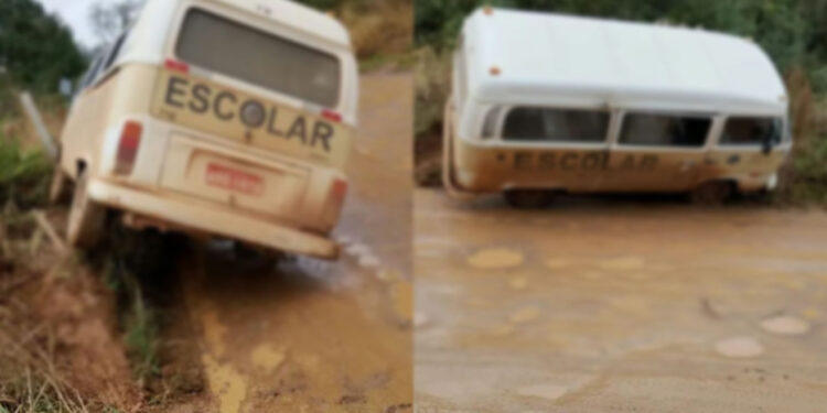 Os ocupantes do veículo foram socorridos (Foto: Reprodução/aRede)