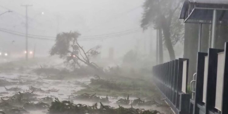 (Foto: Corpo de Bombeiros)