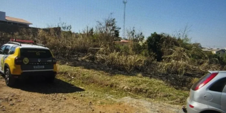 Foto: Colaboração