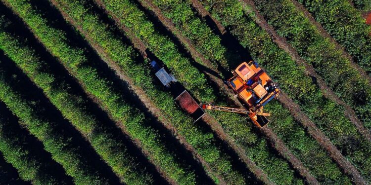 Prolongamento das tarifas pode causar redução na produção agroindustrial do Paraná. (Foto: José Fernando Ogura/Arquivo AEN)