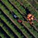 Agronegócio e indústria do Paraná apontam impactos com início das tarifas dos EUA
