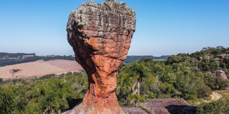 O Parque celebra o segundo título consecutivo de destaque mundial (Foto: Divulgação)