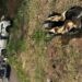 Paraná: Criança morre e quatro pessoas ficam feridas em grave acidente na BR-376