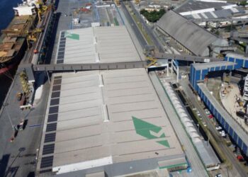 EUA retira tarifa de importação da celulose do Brasil e beneficia setor florestal do Paraná