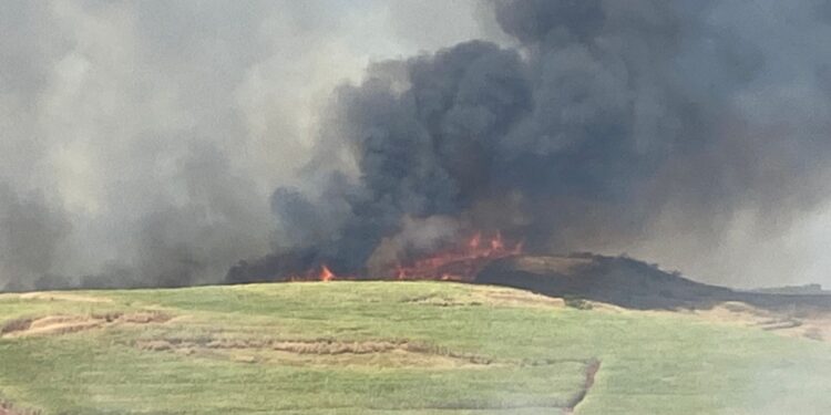 Foto: Corpo de Bombeiros